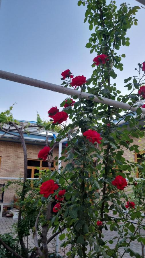 Hostel Muborak Samarkand Exterior foto
