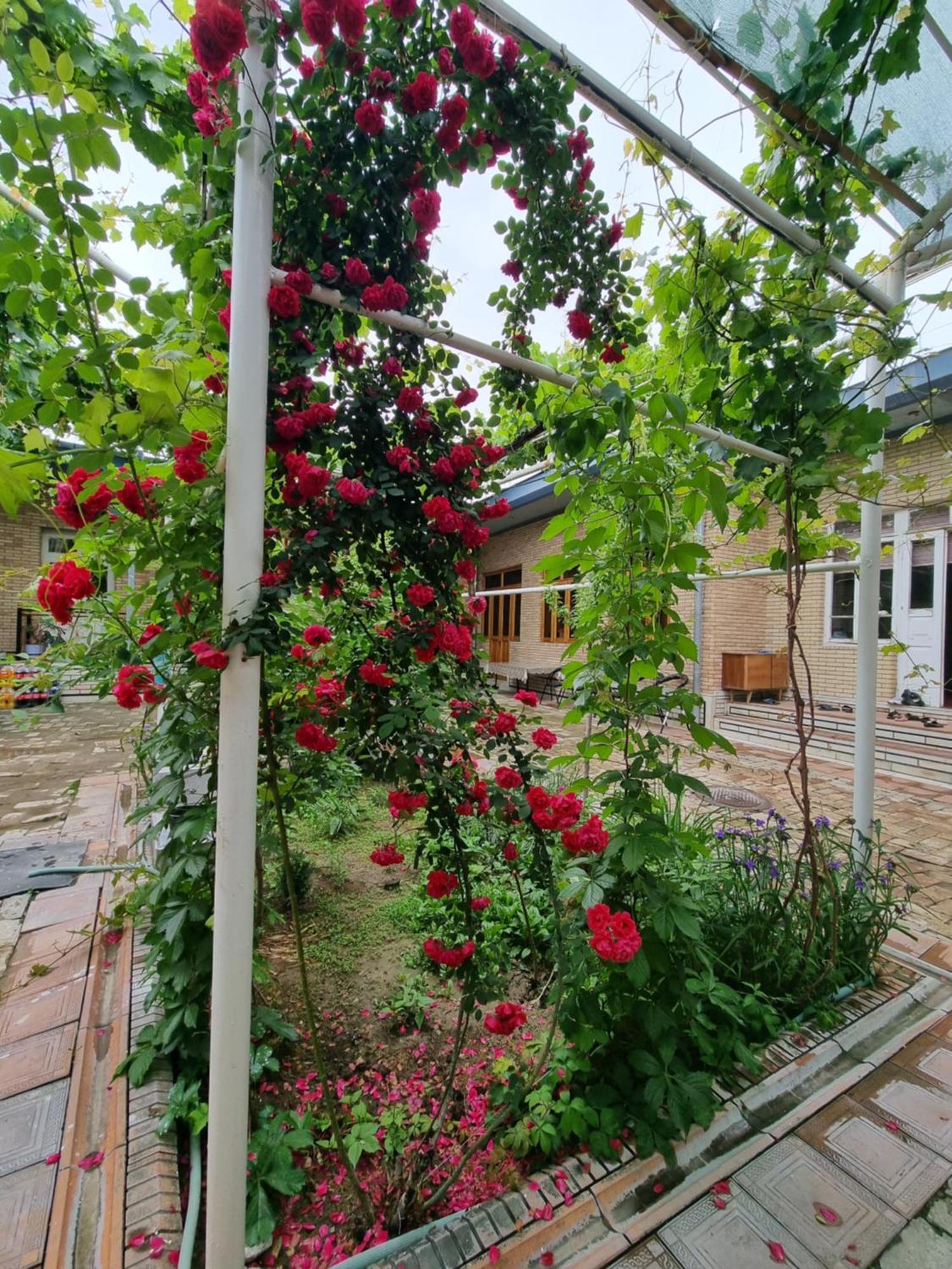 Hostel Muborak Samarkand Exterior foto