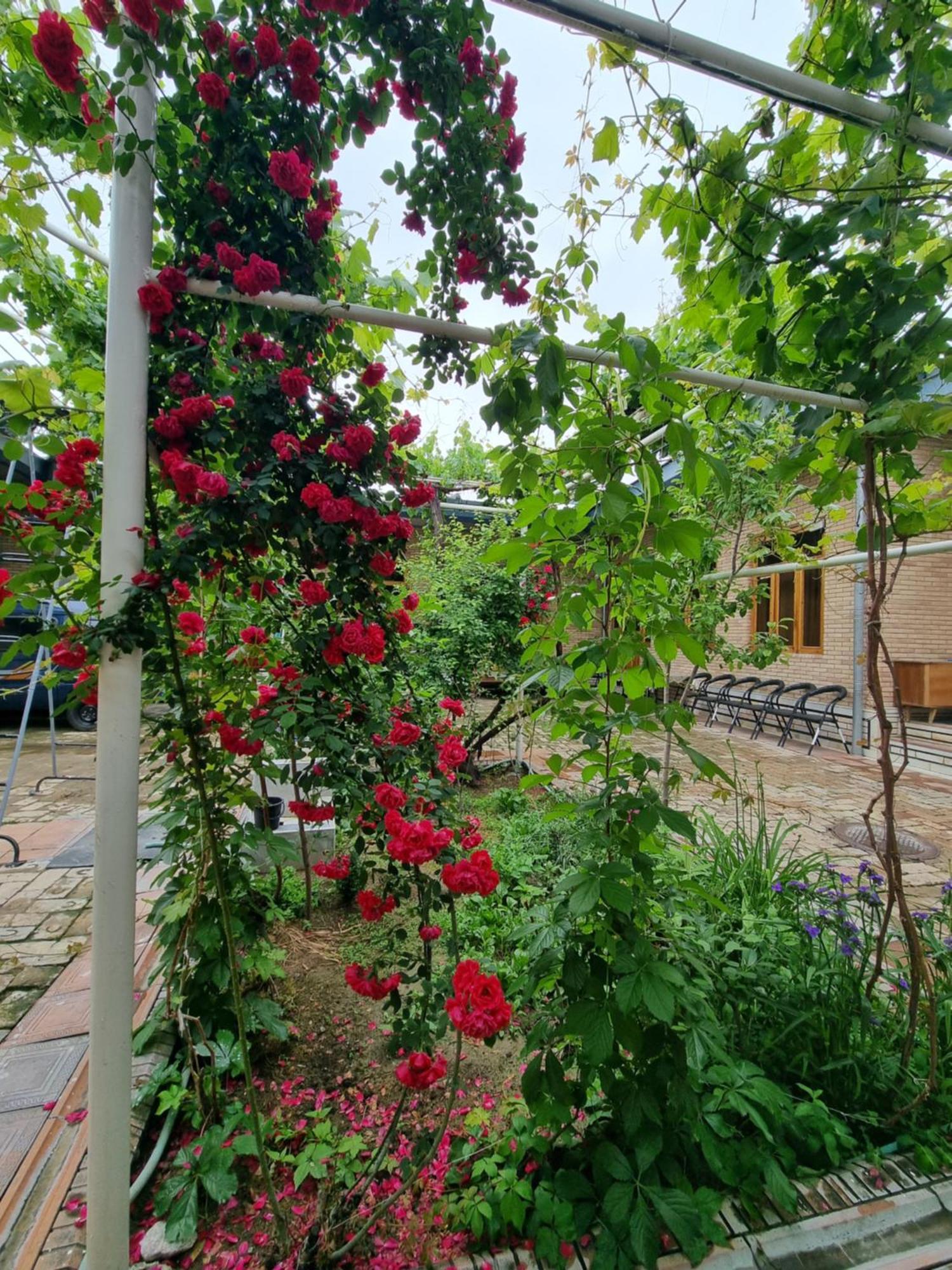 Hostel Muborak Samarkand Exterior foto